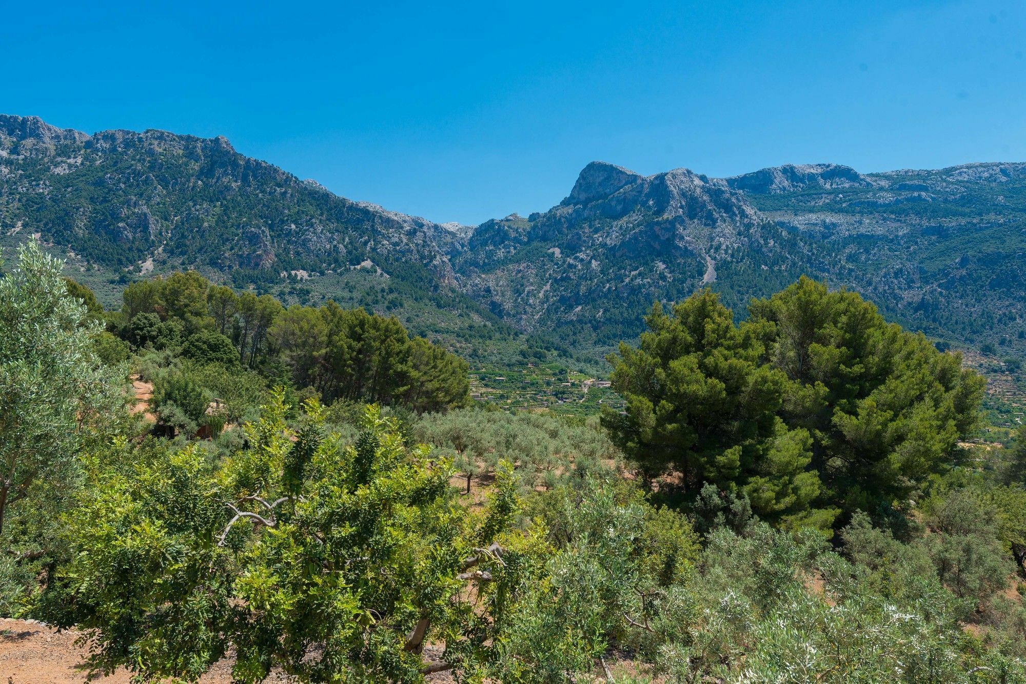 Son Bou Villa Soller Exterior photo